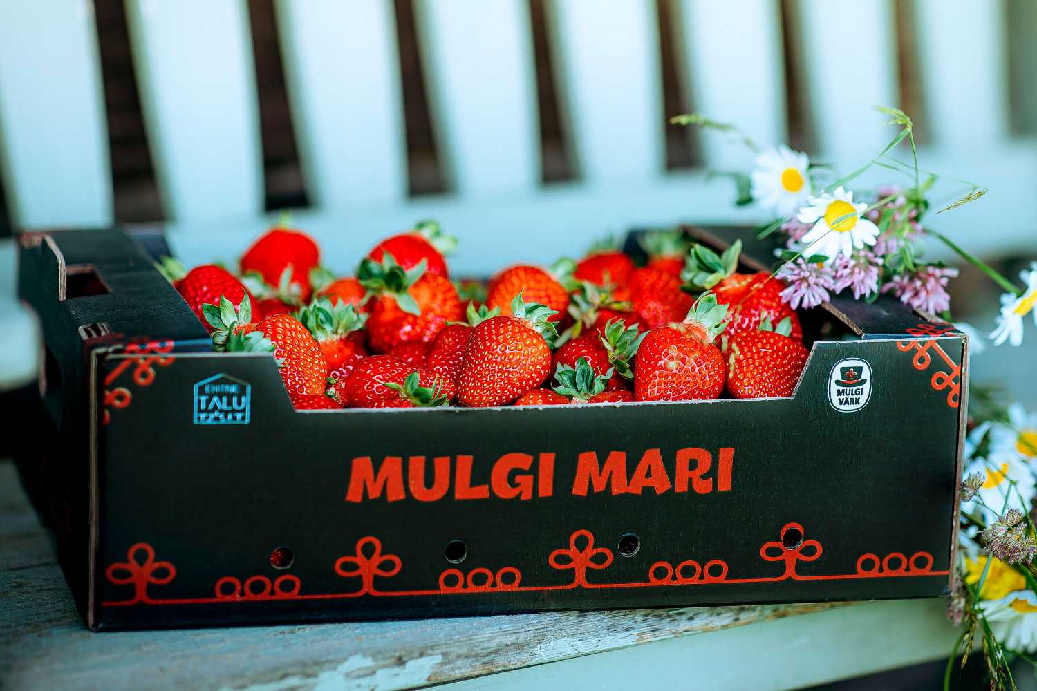 Eesti maasikad 4 kg kast
